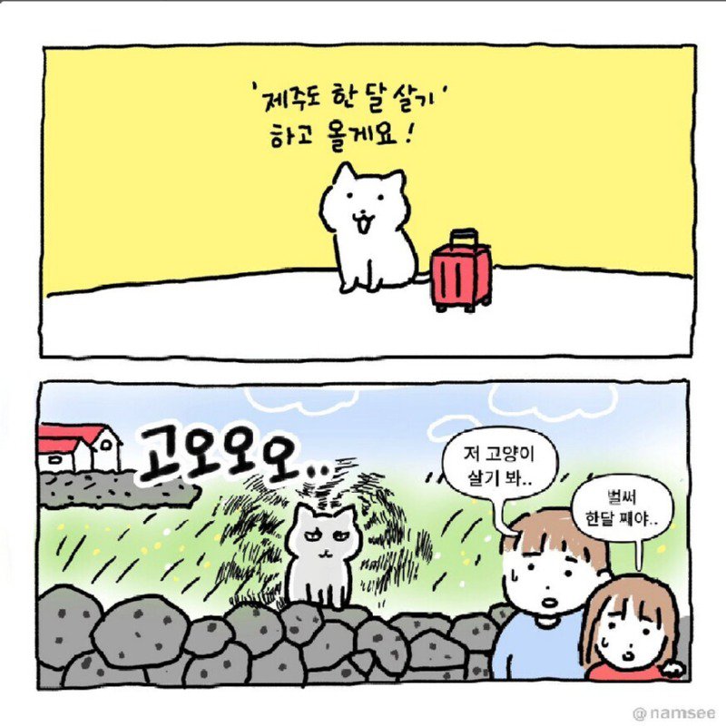 제주도 한달 살기