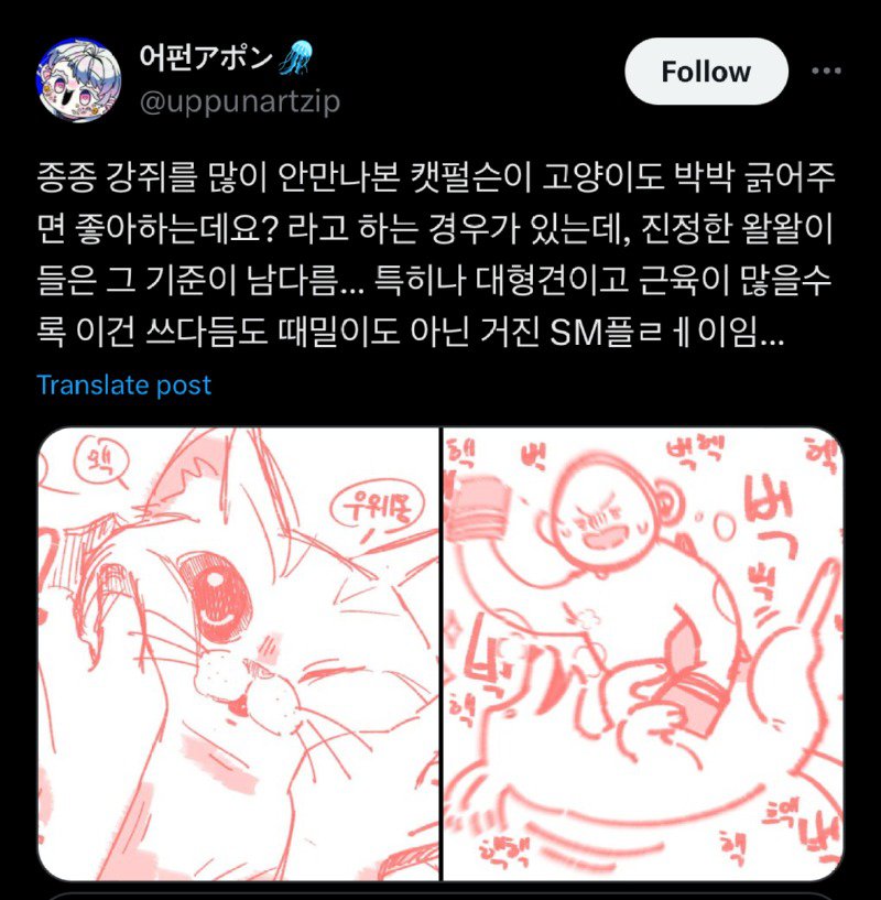 강쥐랑만 살아본 사람이 고양이를 쓰다듬으면 서로 어색해짐.jpg