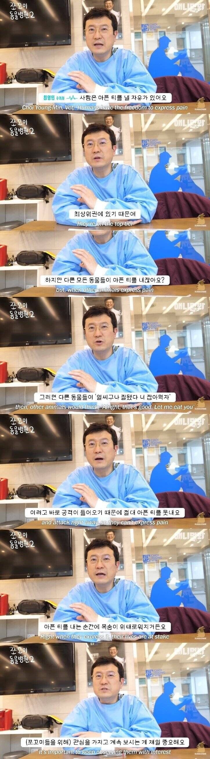 반려동물들이 아파도 티를 내지 않는 이유