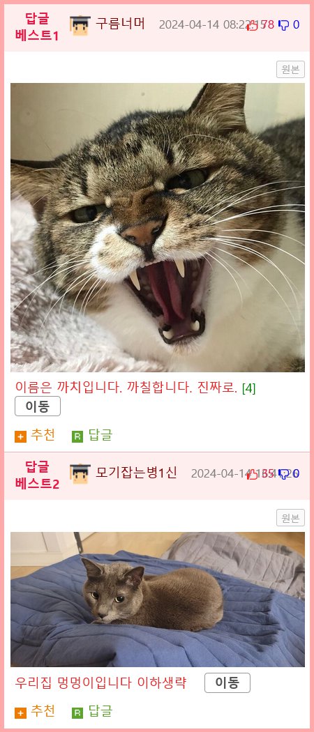 이 고양이 이름은 