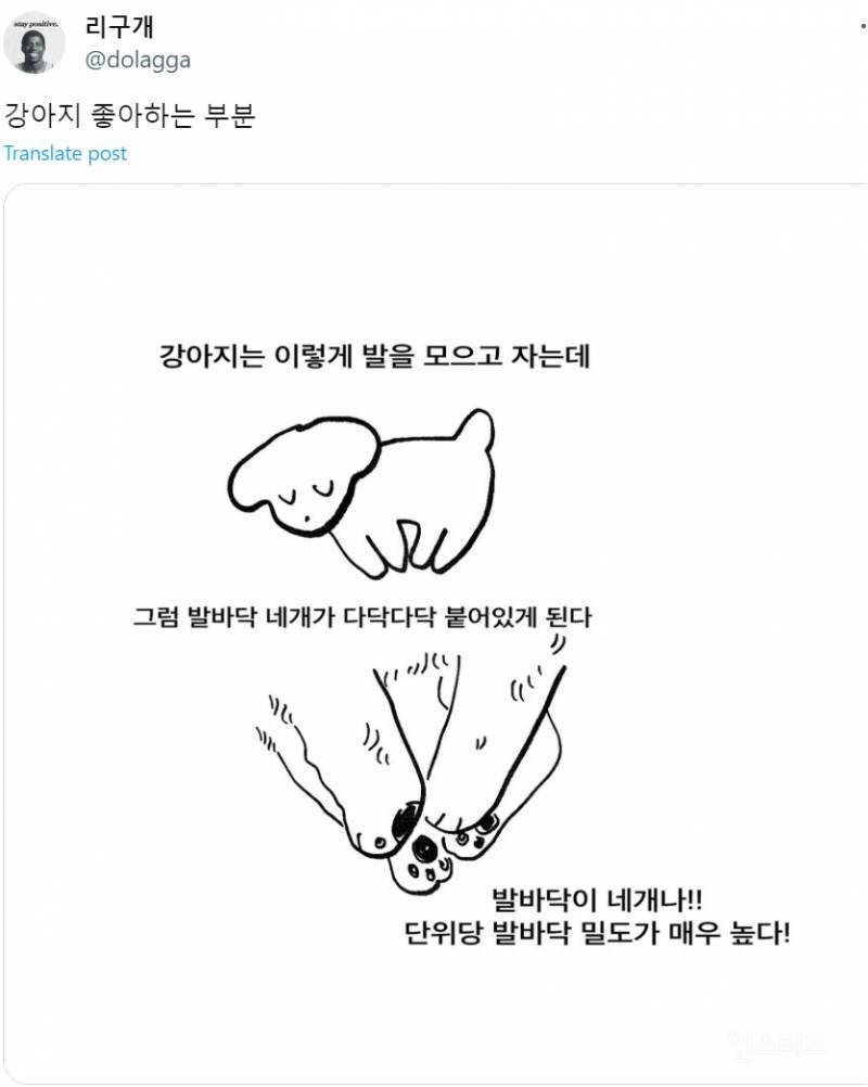 개 키우는 사람만 안다는 의외의 매력포인트