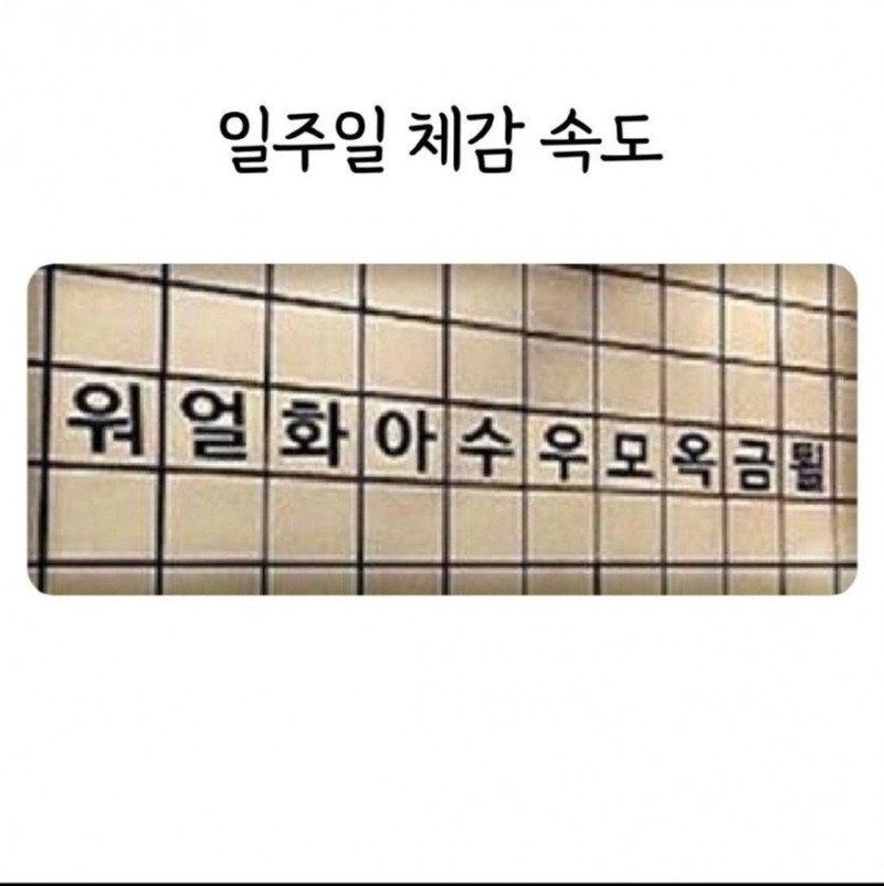 일주일 체감속도