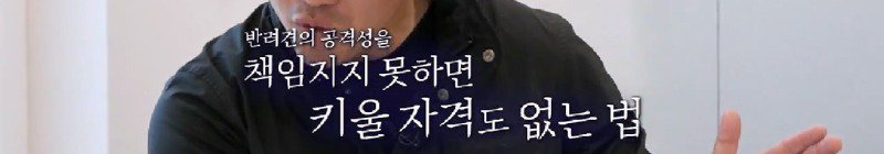 예민하고 입질하는 포메라니안 사례가 많다며 솔루션하는 강형욱