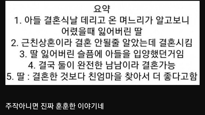 며느리 같은 딸, 아들 같은 사위