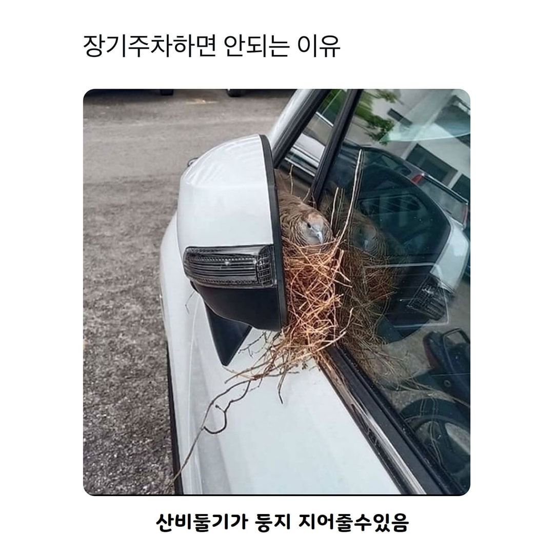 장기주차하면 안 되는 이유