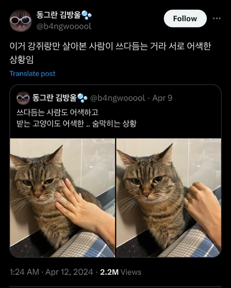 강쥐랑만 살아본 사람이 고양이를 쓰다듬으면 서로 어색해짐.jpg