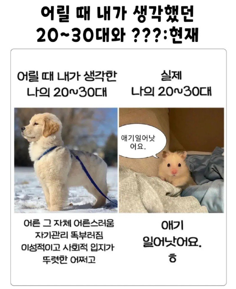 어릴 때 내가 생각했던 성장한 내 모습.jpg