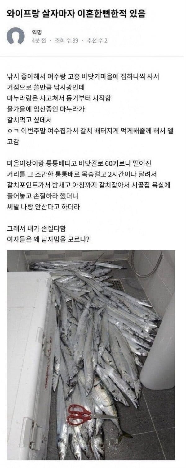 갈치 먹고 싶다해서 잡아오니 같이 못 살겠다 함