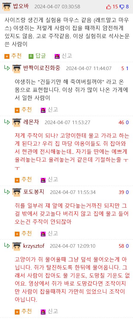 강형욱 인터뷰 중 쥐 물고오는 고양이