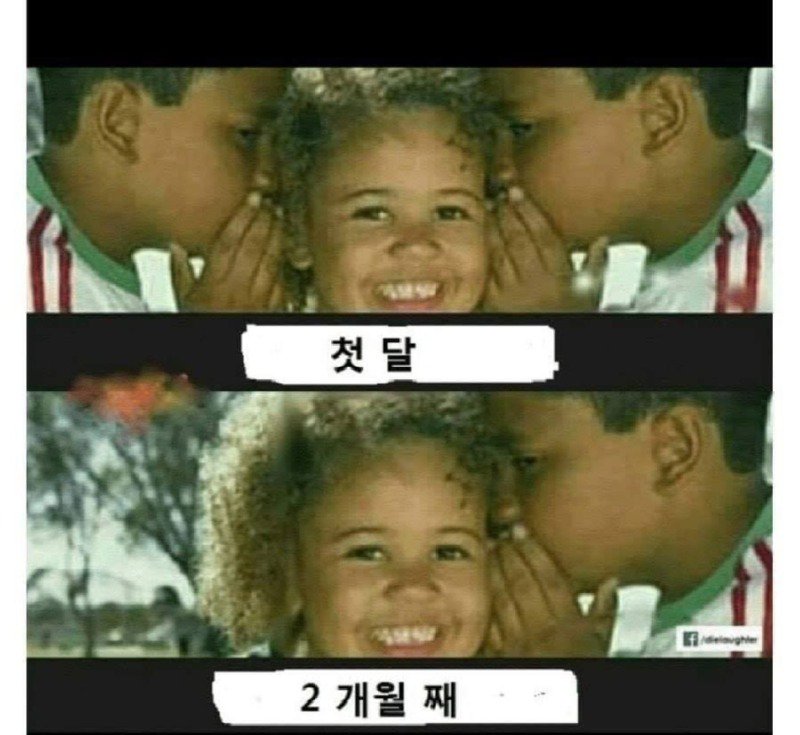 싸구려 이어폰 특징