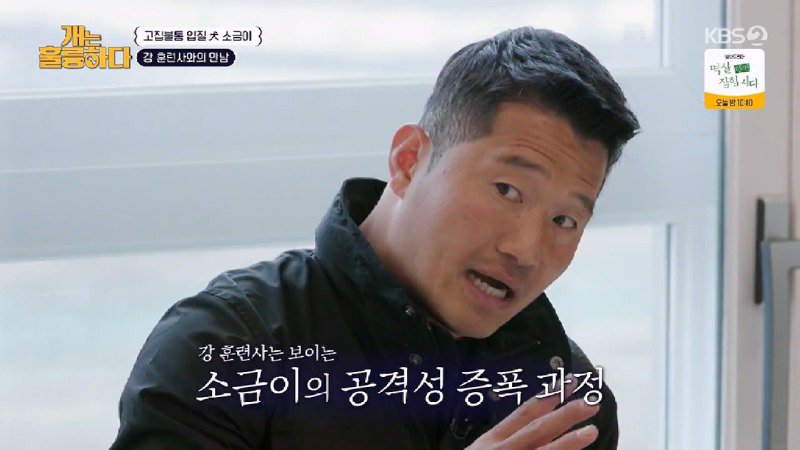 예민하고 입질하는 포메라니안 사례가 많다며 솔루션하는 강형욱