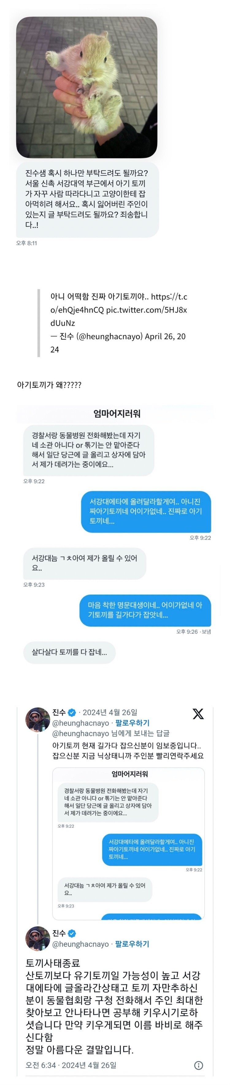 토끼 주웠는데 주인 찾아가세요