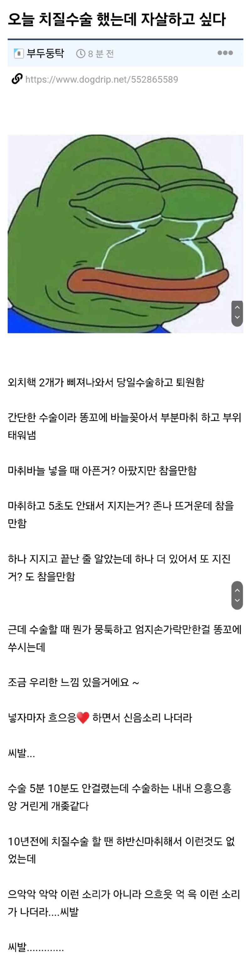 치질수술했는데 죽고싶다