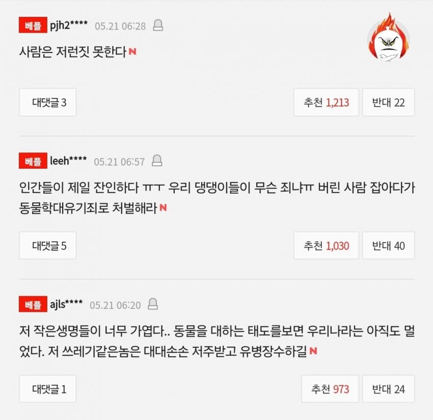 [보배] 쓰레기봉투 속에 버려진 눈도 못 뜬 강아지 7마리