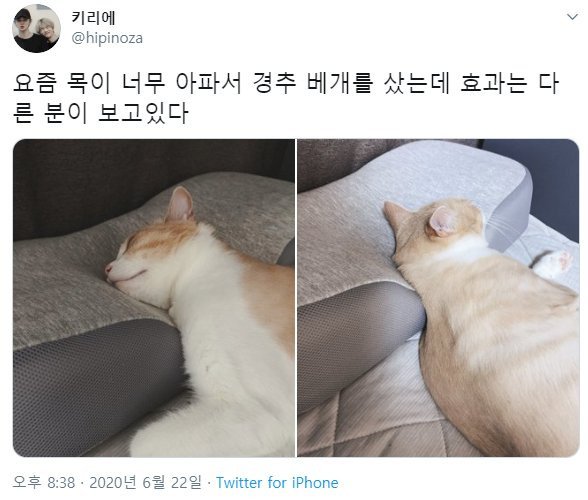 예상치 못했던 경추 베개의 효과