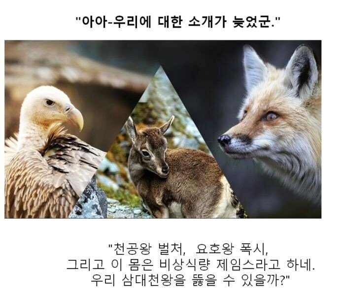 스압) 동물 클리셰짤 모음.jpg