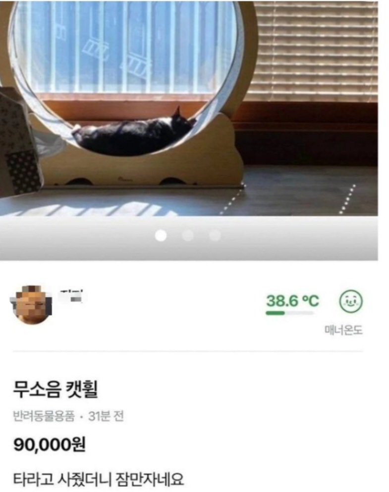 당근에 캣휠이 올라온 이유