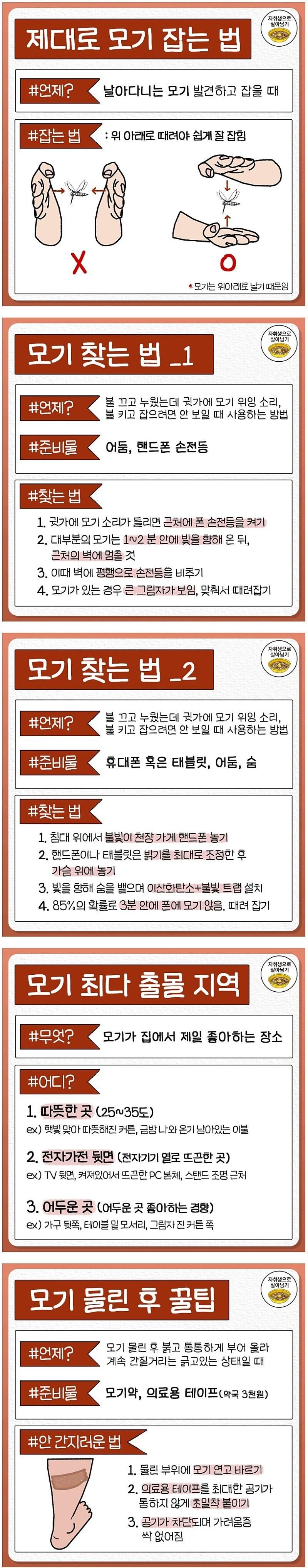 여름시즌 최대의 적인 모기 대처법