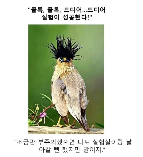 스압) 동물 클리셰짤 모음.jpg