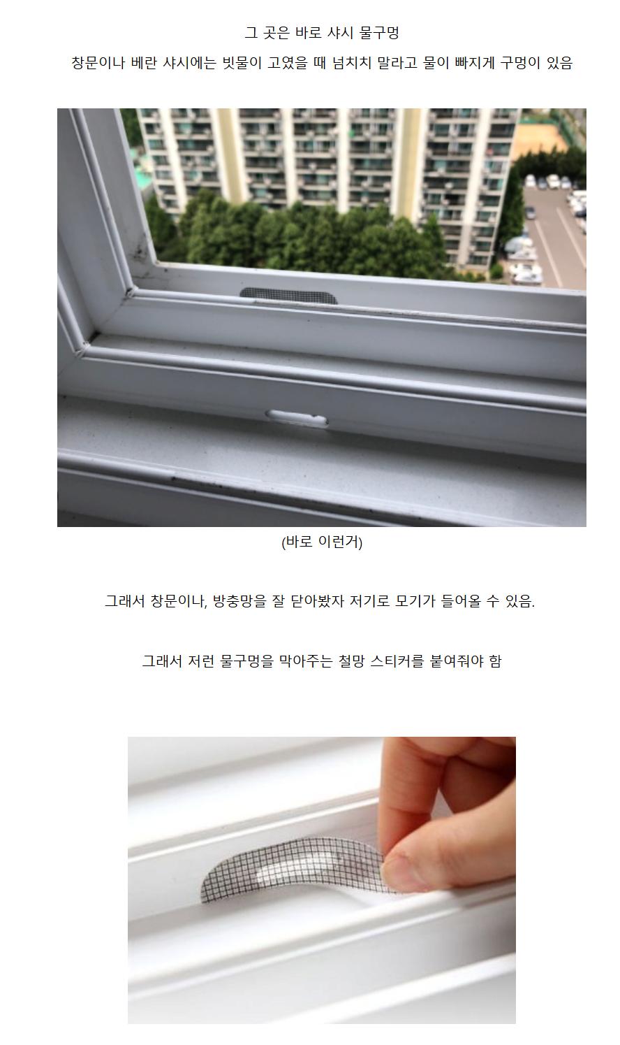 집 안에 모기 및 날벌레 침투하는 경로