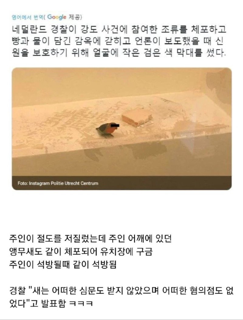 체포된 앵무새