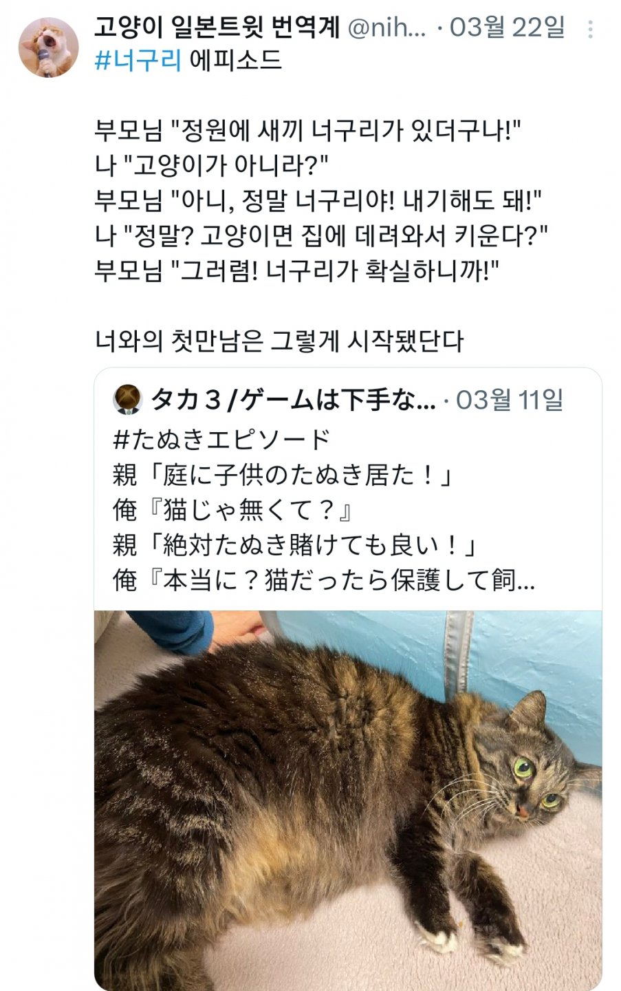 마당에 새끼 너구리가 있더라는 부모님