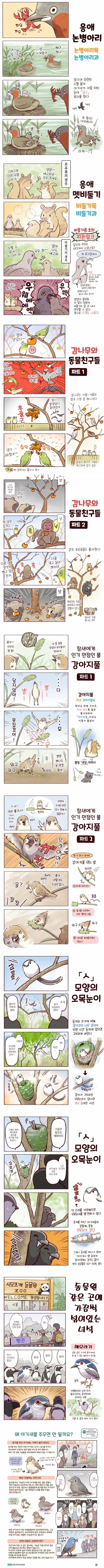 귀여운 새들의 습성