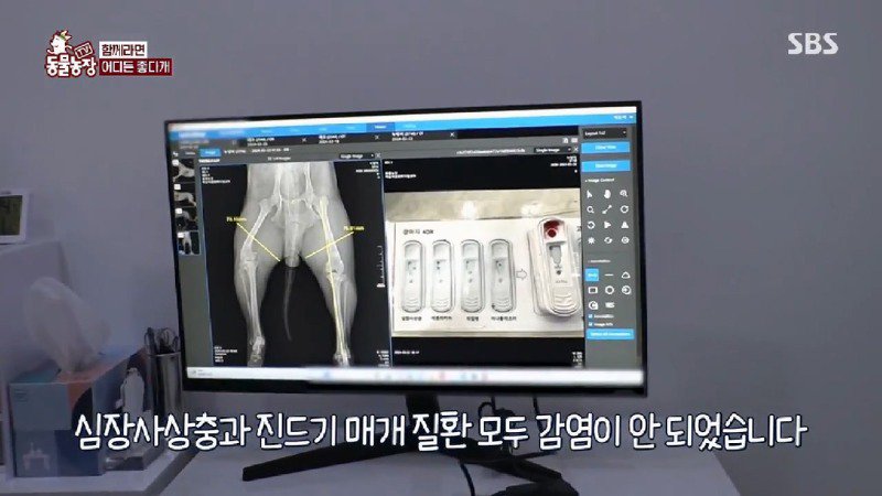 아파트 주민들에겐 사납지만 어느 한 가족에게만 따뜻한 유기견