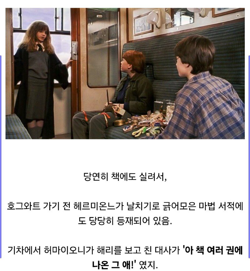 해리포터) 덤블도어가 응애해리를 더즐리가에 맡길수 있었던 이유