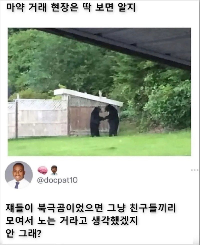 마약거래 현장은 딱 보면 알지