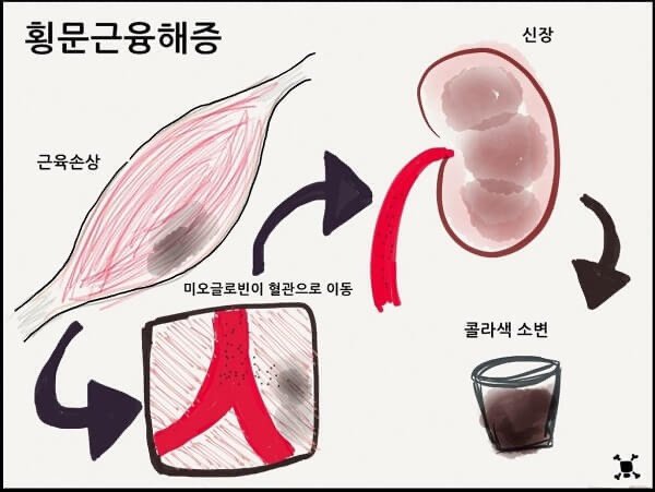 훈련병 공식사인 