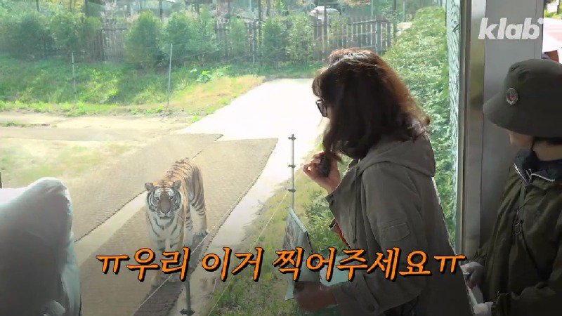 부르면 오진 않지만 속담처럼 제 말하면 오는 호랑이