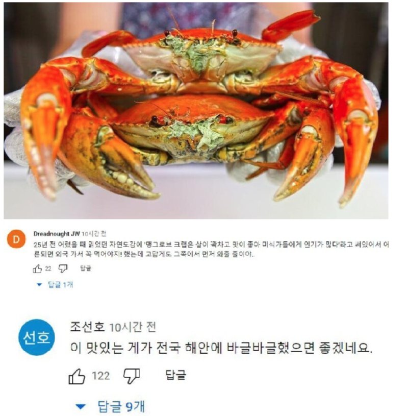 한국서 의외로 환영받고있는 외래종