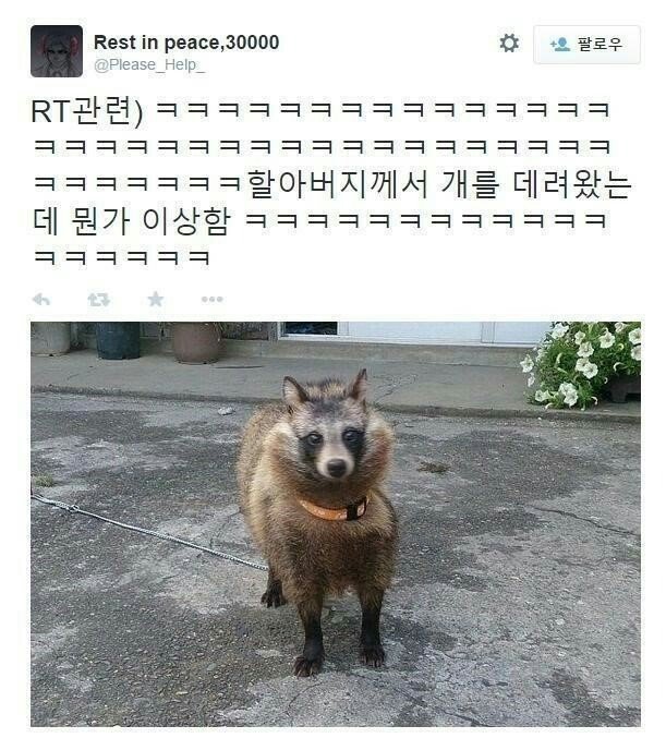 할아버지가 개를(?) 데려왔다