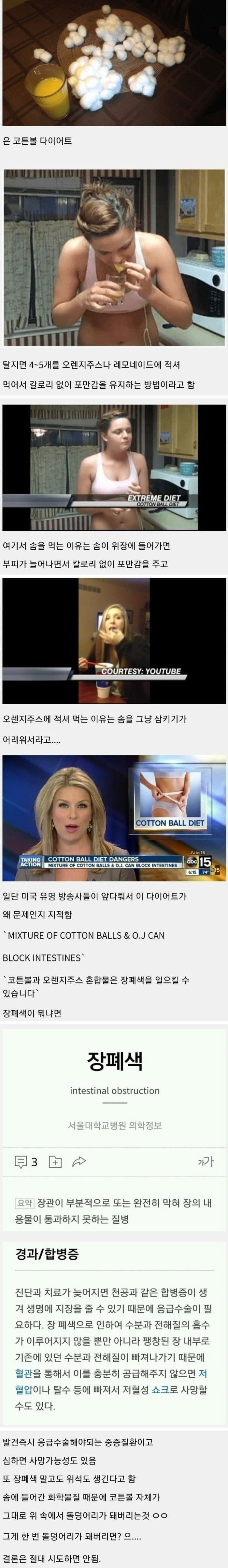 미국에서 한때 유행했던 엽기 다이어트