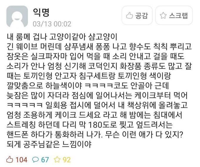 내 룸메 고양이같아