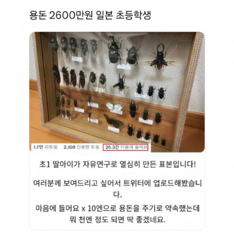 용돈 2,600만원 일본 초등학생