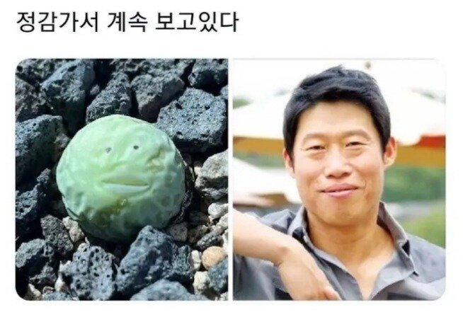 한층 유해진 식물.jpg