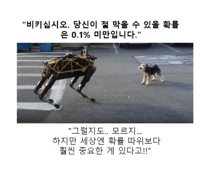 스압) 동물 클리셰짤 모음.jpg