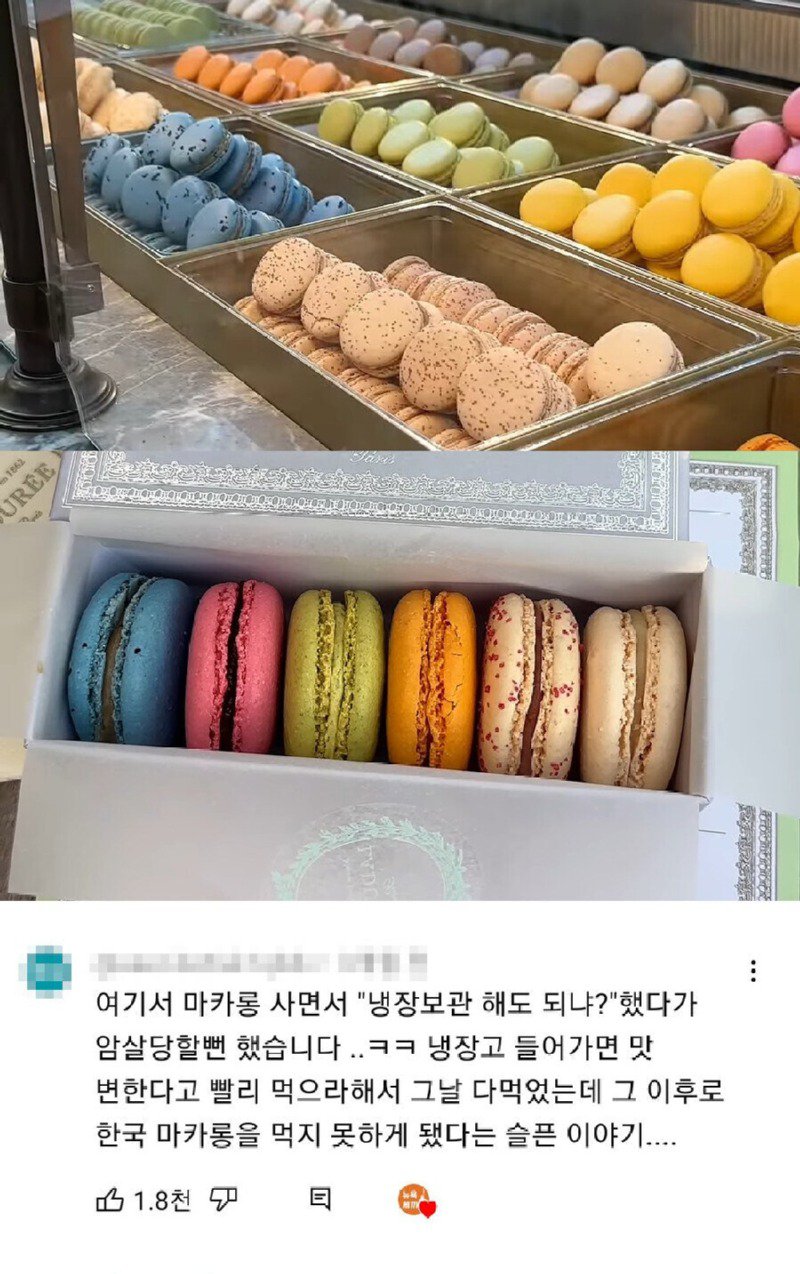 프랑스에서 했다간 암살당할 수도 있는 말.jpg