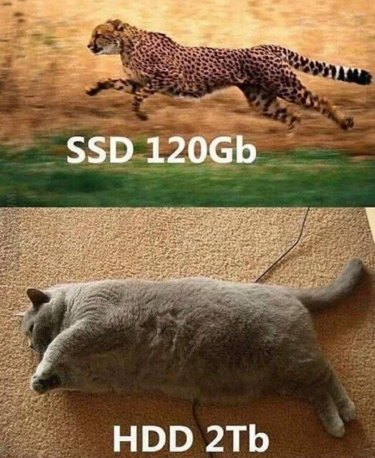 SSD vs HDD