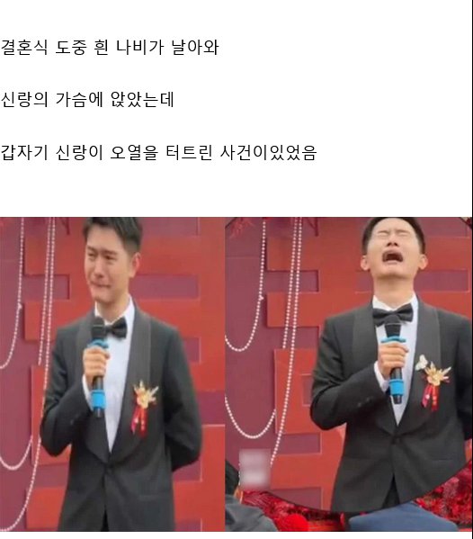 결혼식 도중에 갑자기 오열을 터트린 신랑의 사연