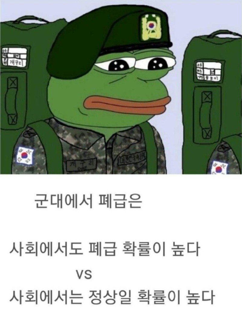 군필자들 사이에서 반반 갈린다는 논쟁