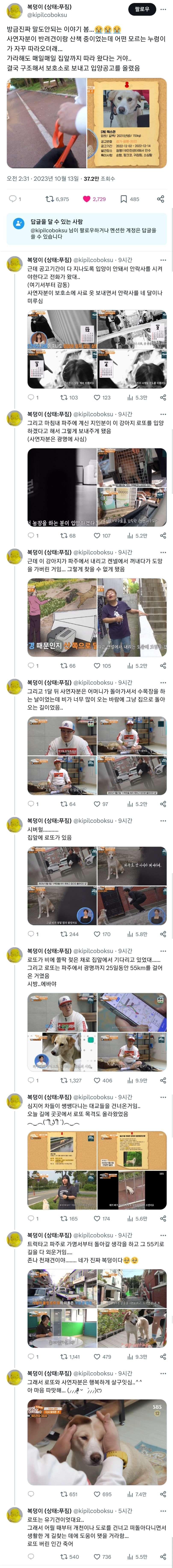 파주에서 광명까지 55km를 걸어온 댕댕이