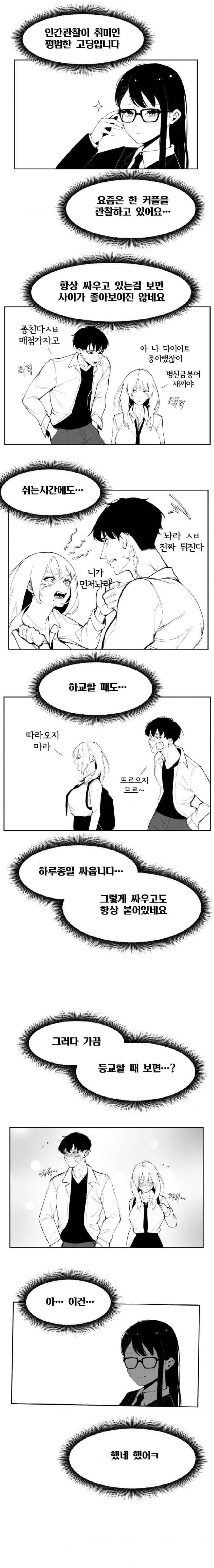 맨날 싸우는 커플 관찰