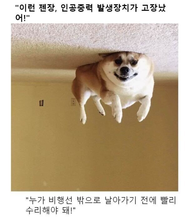 스압) 동물 클리셰짤 모음.jpg