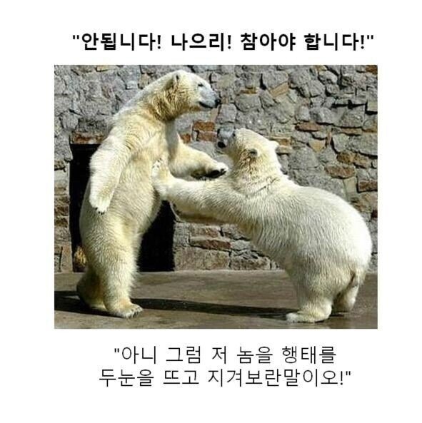 스압) 동물 클리셰짤 모음.jpg