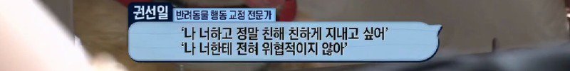 아파트 주민들에겐 사납지만 어느 한 가족에게만 따뜻한 유기견