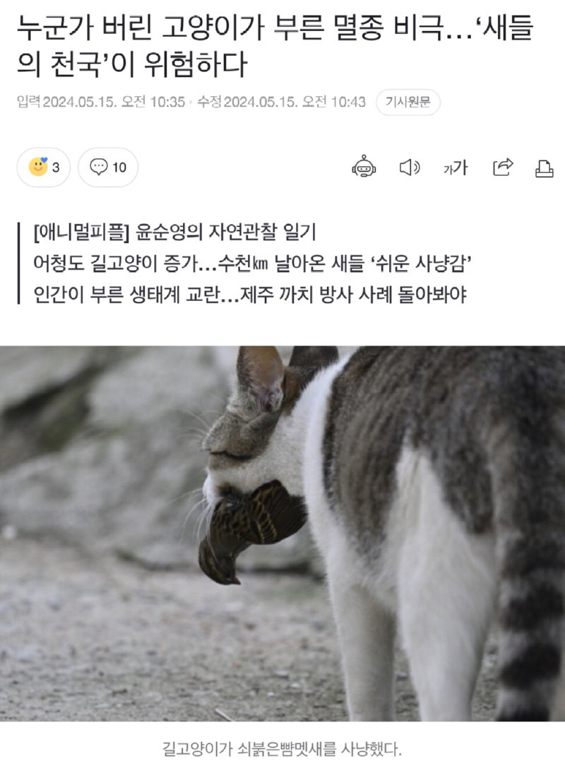 고양이가 부른 멸종 비극..?새들의 천국?이 위험하다