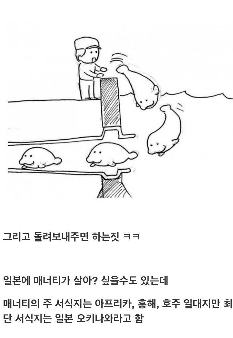 오키나와(?) 배수관에서 의외로 많이 보이는 생물 +댓글